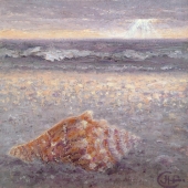 Morning-Shelling-1-23-16-Hanson-Fahnoe